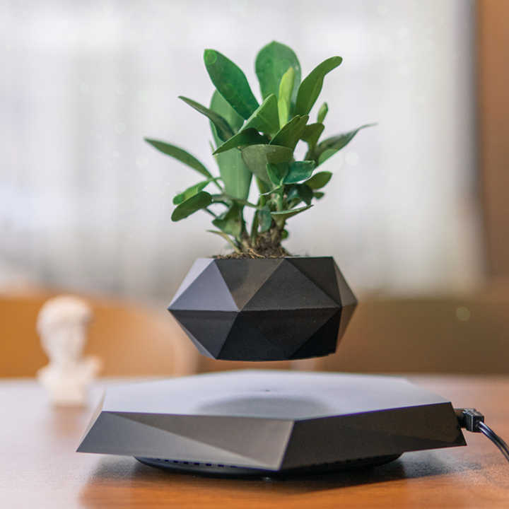 levitating plant black pot, floating magnetic base, modern home décor 